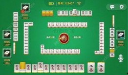 贵州麻将爆料视频大全,爆料视频大全深度解析